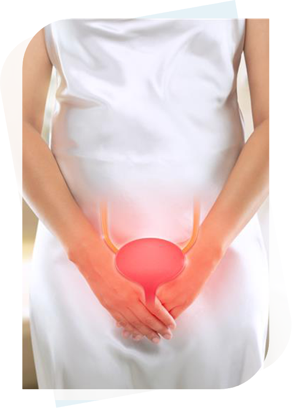 IED-large Incontinence & Erectile Dysfunction